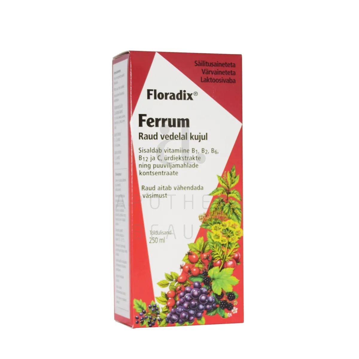 SALUS FLORADIX RAUD ÜRDI-MAHLAKONTSENTRAAT 250ML - Tootepilt