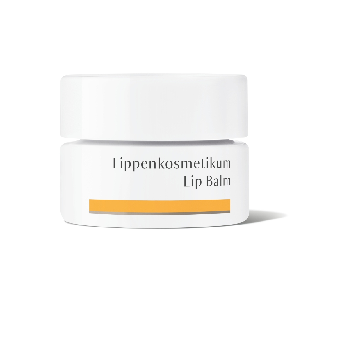 DR.HAUSCHKA TAASTAV HUULEPALSAM 4,5G - Tootepilt