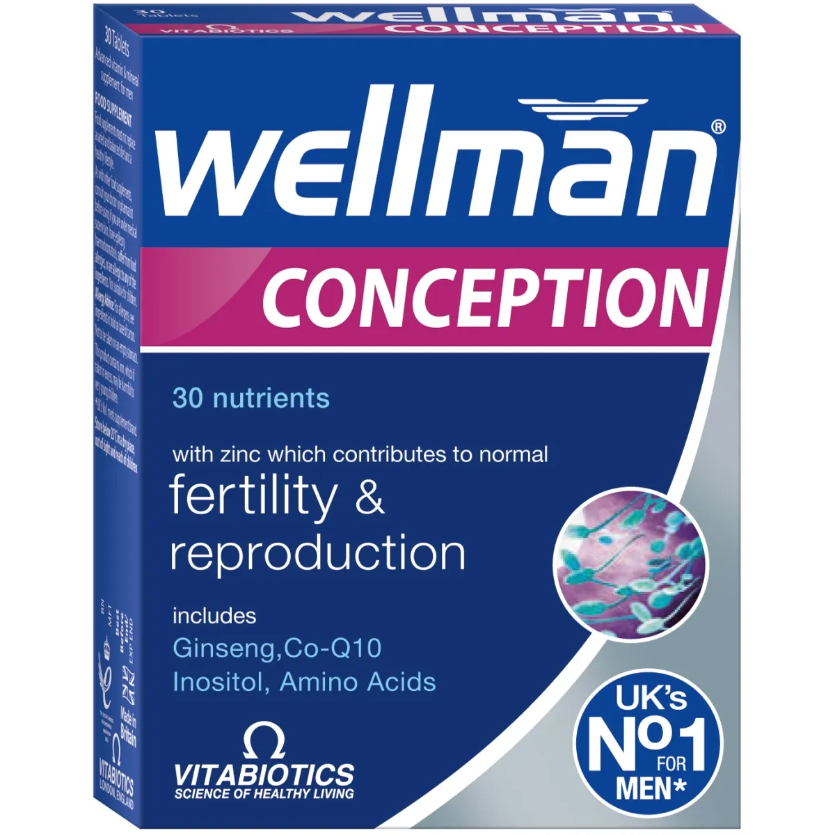 WELLMAN CONCEPTION TBL N30 - Tootepilt