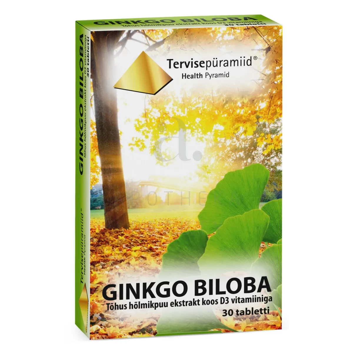TERVISEPÜRAMIID GINKGO BILOBA TBL N30 - Tootepilt