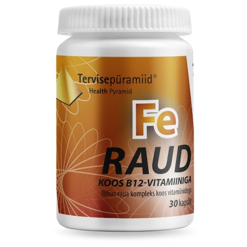 TERVISEPÜRAMIID RAUD KOOS B12 VITAMIINIGA KAPSLID N30 - Tootepilt 