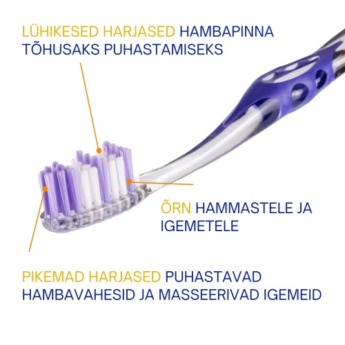ELGYDIUM HAMBAHARI INTERACTIVE SOFT - Tootepilt 2