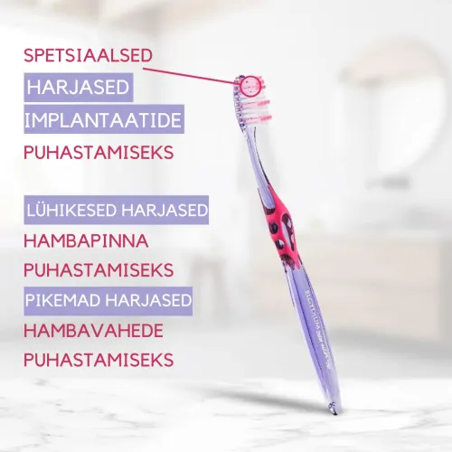 ELGYDIUM HAMBAHARI INTERACTIVE SOFT - Tootepilt 1