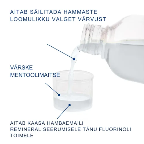 ELUDRIL SUUVESI WHITENING 500ML - Tootepilt 2