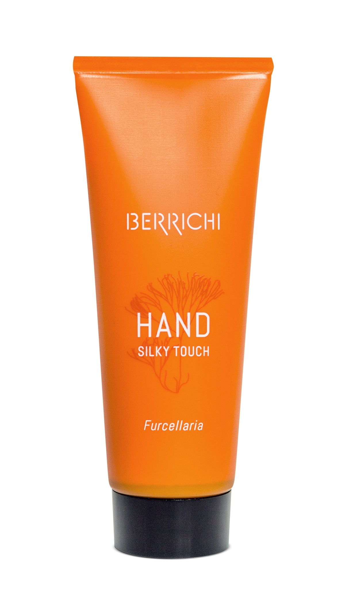 BERRICHI KÄTEKREEM HAND 75ML - Tootepilt 2