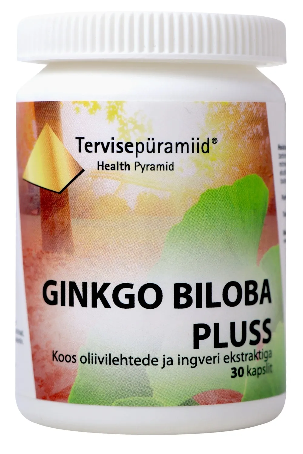 TERVISEPÜRAMIID GINKGO BILOBA PLUSS KAPSLID N30 - Tootepilt 