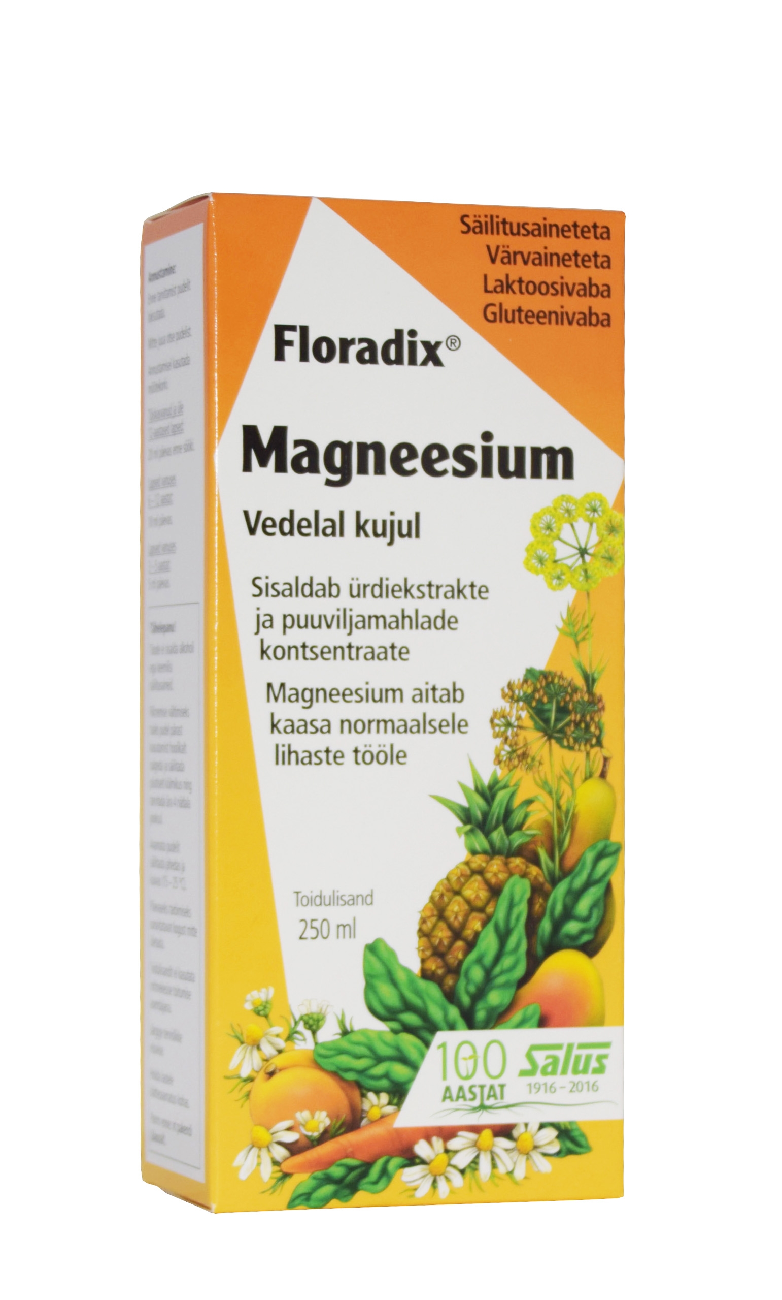 SALUS FLORADIX MAGNEESIUM 250ML ÜRDI-MAHLAKONTSENTRAAT - Tootepilt 