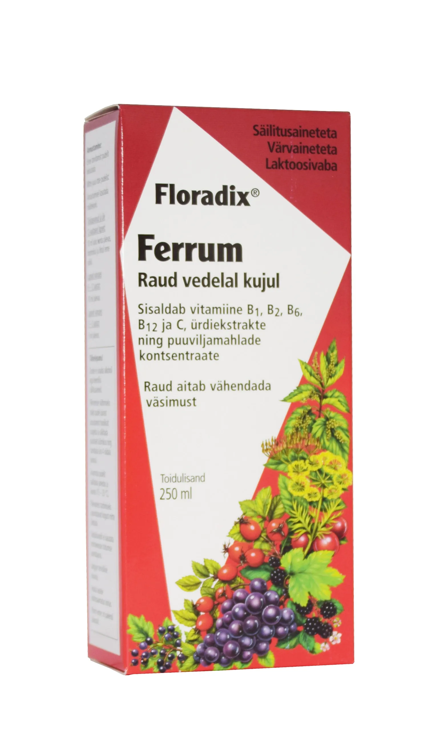 SALUS FLORADIX RAUD ÜRDI-MAHLAKONTSENTRAAT 250ML - Tootepilt 
